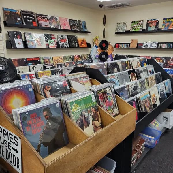 East County Vinyl record store