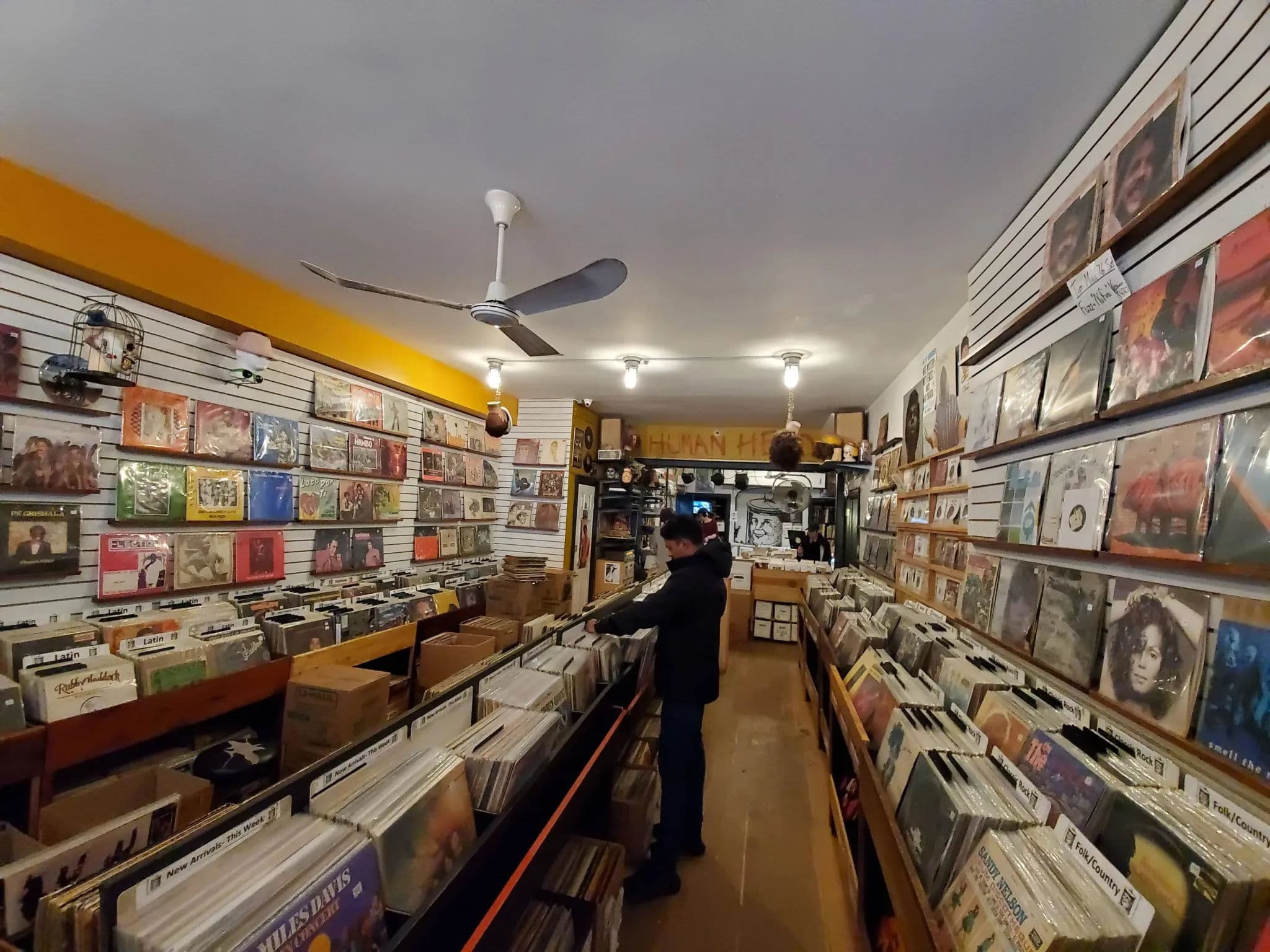 A person browsing through rows of vinyl records inside a cozy record store. The walls are lined with album covers, and bins filled with records stretch down both sides of the narrow shop.